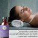 French Lavender Essential Oil Blend - 4 fl oz for Aromatherapy, Soap Making, DIY Skin & Hair - Pure Body Naturals - Buy Online on GoSupps.com