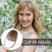 Bang Clip in Hair Extensions | French Bangs Clip on Hair Bangs Extensions - French Bangs Clip on Fake Fringe Stylish Natural Color Fringe Hairpieces for Girls Women brown - Buy Online on GoSupps.com