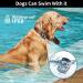 Tepimato AirTag Dog Collar Holder IP68 Waterproof Air Tag Collar Hard TPU Full Protection Compatible with Apple Airtag Air Tag. Holder for Dog Cat Collar Pet Accessories(2 Pcs Black) 2 pack Black - Buy Online on GoSupps.com