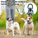 Snagle PAW Doppelleine: Double Dog Leash for Easy Control | Reflective 360 Design for Medium & Large Dogs | No Tugging Fits 13-22 kg Dogs | Black & Blue White - Buy Online on GoSupps.com