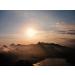 South American Coffee Specialty - Brazil Sugarloaf Country (500 grams whole beans) - Buy Online on GoSupps.com