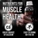Jocko M lk Chocolate Protein Shake - 30g Grass Fed Protein, KETO Friendly, No Added Sugar - 12pk - Buy Online on GoSupps.com