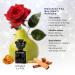 MOSCHINO Perfume for Women Variety Mini Splash Giftset - Bubble Gum Toy 2 Toy Boy Toy 2 Bubblegum Toy Boy - Buy Online on GoSupps.com