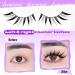 Manga Lash Extension Kit - Natural Wispy Cluster Lashes for Fox & Cat Eye Looks | Includes Bond Seal & Applicator - Buy Online on GoSupps.com