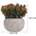 Ciieeo 2pcs Simulated Green Bonsai Artificial Succulents Plants Miniture Decoration Artificial Cactus Small Succulent Plants Silk Plants Greenery Decor Accessories Office Foam Nordic - Buy Online on GoSupps.com