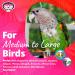 Super Bird Creations SB301 Chewable Paper Party Bird Toy - Large Size - Colorful Lollipop Sticks - 1 Pack - Buy Online on GoSupps.com