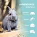 Arka Pipi Weg Rodent - 750ml Natural Cleaner for Rodents | Biodegradable Odor & Spot Remover for Cages Stables & Enclosures - Buy Online on GoSupps.com