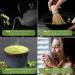 Premium Uniqo Matcha Powder - 100% Natural Green Tea for Lattes Ice Cream & Bubble Tea - Buy Online on GoSupps.com