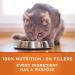 Purina ONE Adult Healthy Metabolism & Ideal Weight Cat Food Combo - Turkey Flavor 7 lbs - Buy Online on GoSupps.com