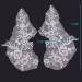 3D White Sequin Bead Floral Lace Trim Applique Patches - Wedding Dress DIY (1 Pair) - Buy Online on GoSupps.com