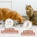 Catz Finefood MEATZ Wild Mix Cat Treats - Grain-Free Sugar-Free Crispy Stripes for Allergies (45g) - Buy Online on GoSupps.com