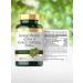 Ginkgo Biloba and Ginseng Tablets 8000mg | High Strength Extract | 120 Vegan Tablets by Carlyle - Buy Online on GoSupps.com
