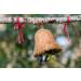 DoBar 24101e Bird Feed Bells - 8 Premium Nut & Mealworm Feed Bells for Year-Round Wild Birds - Perfect for Hanging - Buy Online on GoSupps.com