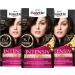 Palette intensive cream coloration 800/4-0 dark brown level 3 (3 x 115 ml) permanent hair color for up to 8 weeks of intensive color gloss & 100 % gray covering single