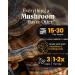 Mushroom Wellness Turkey Tail Blend with Reishi: Organic Turkey Tail & Reishi Mushroom Capsules, Mushroom Powder Supplement, Traditional Immune, Energy & Vitality Support, 90 Vegan Capsules - Buy Online on GoSupps.com