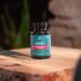 Ancient Nutrition Elderberry + Probiotics | Dr. Axe | 60 Capsules | Immune Support - Buy Online on GoSupps.com