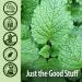 Nature's Answer Periobrite Toothpaste Coolmint | Whitening & Cavity Protection | Sensitive Teeth Relief & Fresh Breath - Buy Online on GoSupps.com