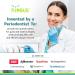 Nimbus Extra Soft Toothbrushes - Periodontist Designed for Sensitive Teeth and Receding Gums - 10 Pack Travel Toothbrushes with Tapered Bristles - Individually Wrapped - Buy Online on GoSupps.com
