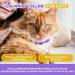 FRDUGA Calming Collar for Cats Cat Calming Collar All New Calming Pheromone Collar for Cats Cat Pheromone Collar Cat Calming Collar for Anxiety Efficient Relieve Anxiety and Stress (4 PCS) - Buy Online on GoSupps.com