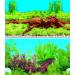 Hidom Aquarium Background Poster Double Sided - Height 24" / 60cm - Length 4 FT / 122cm - Two Scenic Pictures displaying Aquatic Backdrops - DS 600-9009/9021 - Buy Online on GoSupps.com
