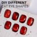 AILLSA Red Cat Eye Gel Polish - Burgundy Glitter & Crystal UV Nail Polish Holographic Reflective Color for DIY Nail Art (0.5 OZ - Buy Online on GoSupps.com