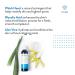 Acne Free Mattifying Toner with Witch Hazel & Glycolic Acid - 8.4 oz x2 - Buy Online on GoSupps.com