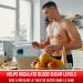 Predator labs - Light Phoenix 30 Servings - Low boost fat burner that contains natural and effective ingredients to help you achieve your goals boosts fat burning regulates sugar levels improves release Formulated with a natural nootropic to improve cogni - Buy Online on GoSupps.com