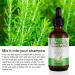 Rosemary Essential Oil for Hair Growth & Skin Care - 60 mL (Pack of 1) - Buy Online on GoSupps.com