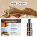 Ceeniu Essential Oils Set - 3 Pack Car Diffuser Refills (12ml) | Pure Cologne Lavender Dream Orchid Snow - 3 Months of Aromatherapy - Buy Online on GoSupps.com