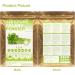 100% Natural Pure Celery Powder 100g/3.52oz poudre de jus de c leri pour smoothies shakes p tisseries et boissons th | poudre de jus Vert poudre verte sans conservateur - Buy Online on GoSupps.com