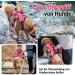 Rabbitgoo Breaking-Proof Dog Harness for Medium Dogs - Adjustable Breathable Padded Vest with Handle | Anti-Train Safety - Pink XL (1 Pack) - Buy Online on GoSupps.com