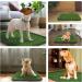 VKMUOI Dog Grass Pad with Tray for Indoor-Outdoor Puppy Potty Training - Buy Online on GoSupps.com