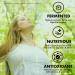 The Chlorella Company Fermented Chlorella & Spirulina Tablets | Broken Cell Wall | 3 Month Supply | Gluten-Free Vegan Non-GMO - Buy Online on GoSupps.com
