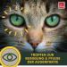 Eye Drops for Cats | Tear Stain Remover & Eye Care - 100ml Chamomile Formula for Clean Healthy Eyes - Buy Online on GoSupps.com