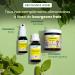 HerbalGem | Calmigem | Helps fight stress | Gemmotherapy complex | 15ML - Buy Online on GoSupps.com