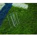 Franklin Sports Pop-Up Dome Shaped Goals - Indoor or Outdoor Soccer Goal - Goal Folds For Storage - 6' x 4' or 4' x 3' Soccer Goal 6' x 4' (Two Goals) - Buy Online on GoSupps.com