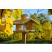 Dobar 21277E Large Bird Feeder Solid Wood Bird House with Shingle Roof Premium Bird Feeding Station for Container Montage 38x38x30 cm - Buy Online on GoSupps.com