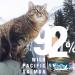 Healthy Shores Salmon Pate Cat Food - Buy Online on GoSupps.com