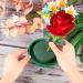 Hahood 8-Pack Floral Foam Rounds in Bowls DIY Flower Arrangement Kit - Ideal for Fresh and Artificial Flowers - Perfect for Birthday, Wedding, and Party Decor - Buy Online on GoSupps.com