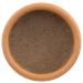 Shop Earth tu Face Organic Multipurpose Skin Hydrating Stick - All-Natural Moisturizer for Glowing Skin | International Shipping Available - Buy Online on GoSupps.com