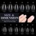 240 Extra Short Coffin Gel Nail Tips Set for Nail Art - Soft Full Cover False Nails in 12 Sizes - PMMA Pre-Buffed Artificial Nails for Gluing - Buy Online on GoSupps.com