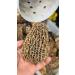 Grade A Dry Morel Mushrooms - Restaurant Quality - Hand Picked from The Forests of British Columbia - Buy Online on GoSupps.com