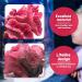 Artificial Coral Ornaments | LTHhermelk Pink Aquarium Decoration for Fish Pools & Landscapes - Buy Online on GoSupps.com