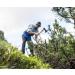 Organic Eschgfeller Stone Pine Oil 50ml - 100% Natural & Certified | Premium South Tyrol Quality - Buy Online on GoSupps.com