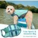 Vivaglory Sporty Dog Security Vest - Durable Neoprene Rescue Vest for Medium Dogs (Cyan 53-64cm) with Velcro Fastener - Buy Online on GoSupps.com