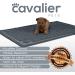 Cavalier Pets Dog Bowl Mat | Silicone Non-Slip Waterproof Pet Food Mat | Easy to Clean | Large 36-Inch | Grey - Buy Online on GoSupps.com