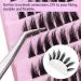 Large Volume Flat Lash Clusters - CD Curl Manga Anime Individual Lashes | Thai Style Cat Eye Extensions for DIY Makeup - Buy Online on GoSupps.com