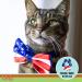 Licks Pill Free Cat Skin & Allergy Relief - Omega 3 Vitamins & Supplements - Turmeric Gel Packets 10ct - Buy Online on GoSupps.com