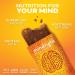 Mindright Superfood Vegan Protein Bar - Gluten Free, Non-GMO, Low Sugar | Peanut Butter Cup Flavor | Pack of 12 - Brain Food Snack to Boost Mood, Energy, and Focus - Buy Online on GoSupps.com