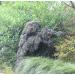 AUSCAMOTEK Ghillie Suit - Green/Brown Camouflage for Hunting - XL-XXL Size - Adult/Youth/Kid - Green Grass - Buy Online on GoSupps.com